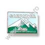 Insigne - imagine 48034